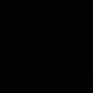 Black and white multi design shower curtain